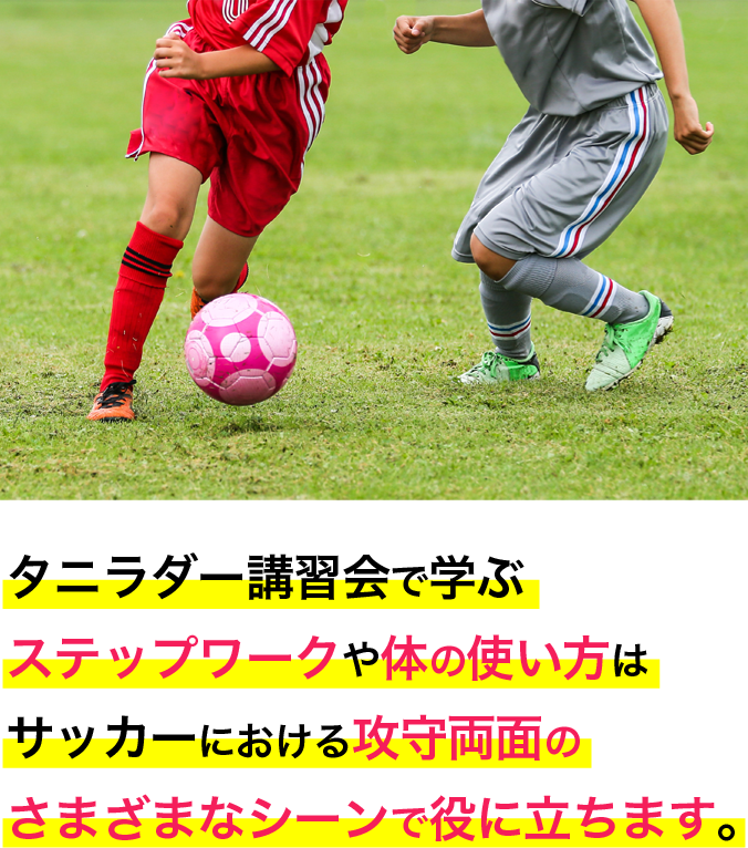 今回開催のタニラダー講習会は、対象スポーツを絞った内容ではありません。